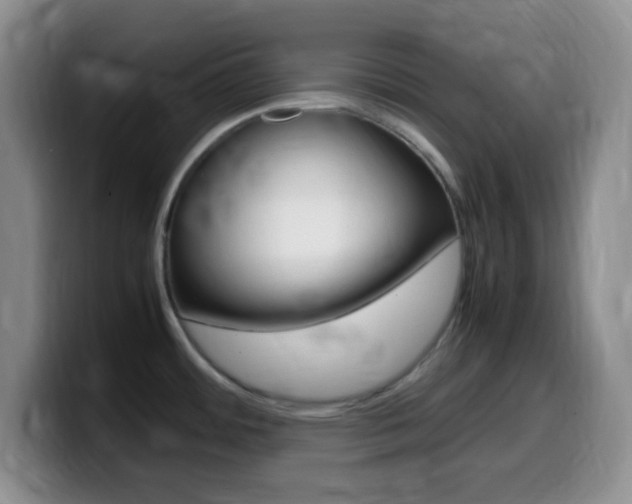 X0000099981484200805231012