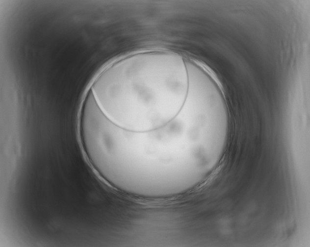 X0000099981485200805231012