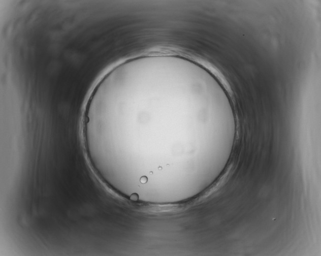 X0000099981486200805231012