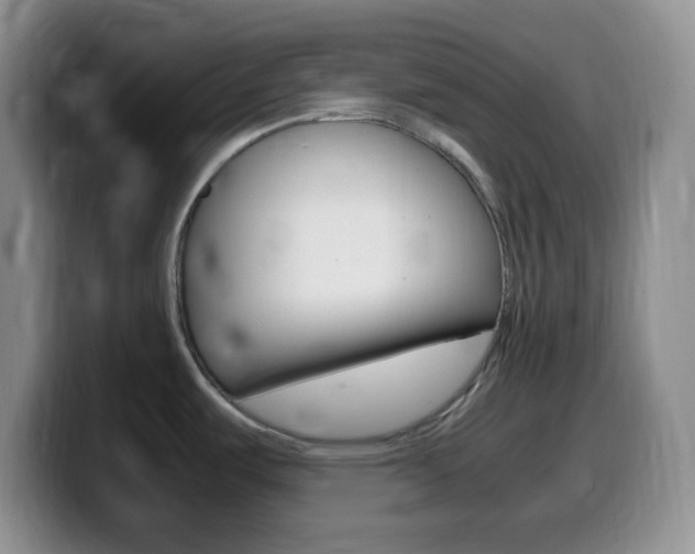 X0000099981487200805231012