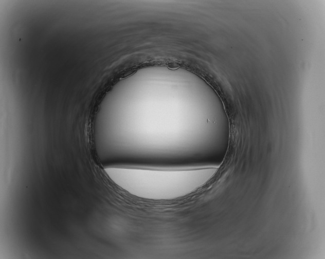 X0000099981490200805231012