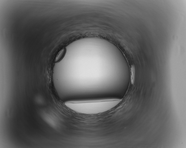 X0000099981491200805231012