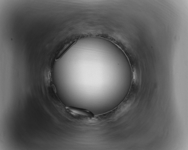 X0000099981492200805231012