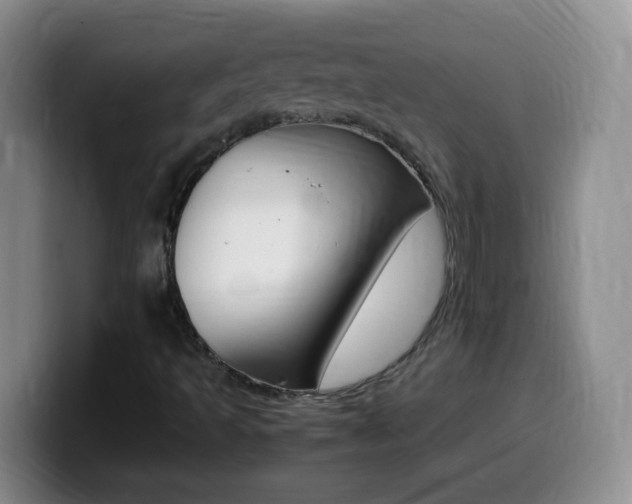 X0000099981493200805231012