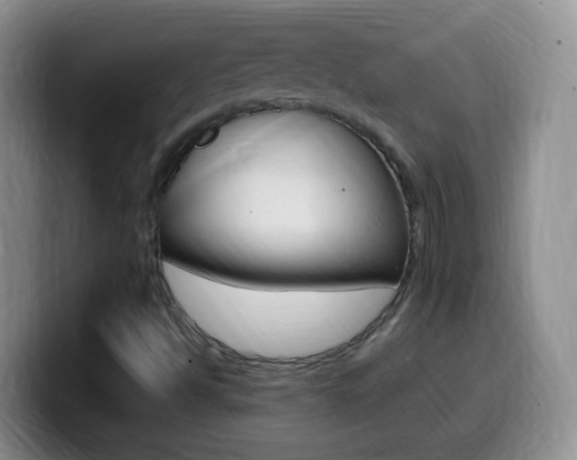 X0000099981494200805231012