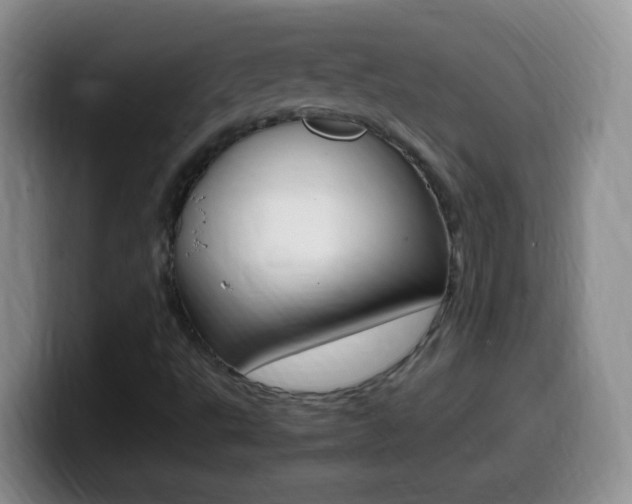 X0000099981495200805231012