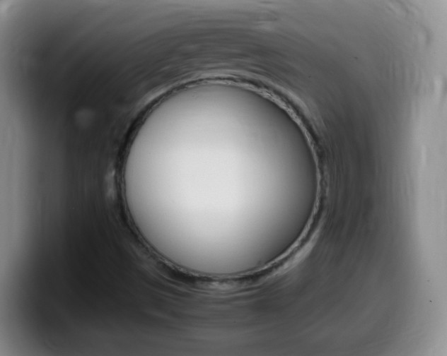 X0000099981497200805231012