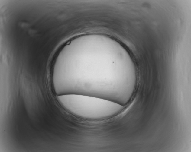 X0000099981498200805231012