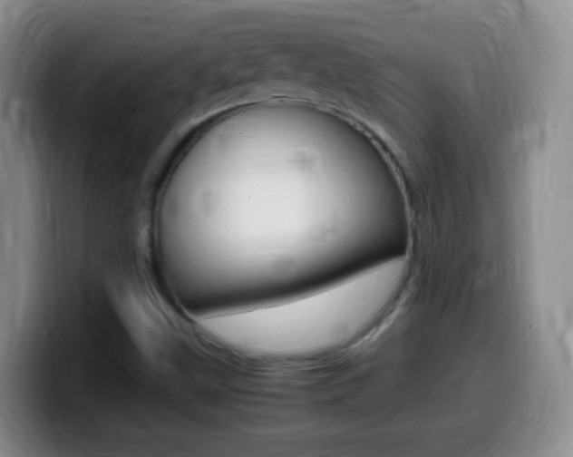 X0000099981499200805231012