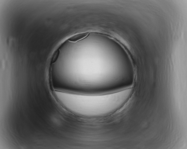 X0000099981500200805231012