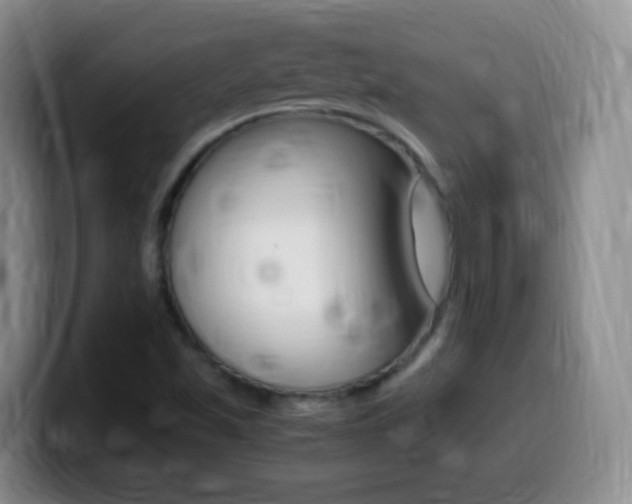 X0000099981501200805231012