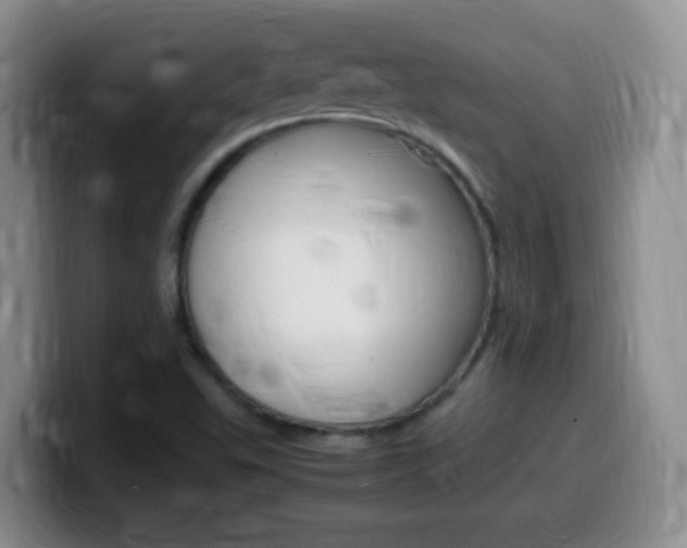X0000099981503200805231012
