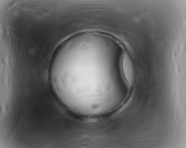 X0000099981505200805231012