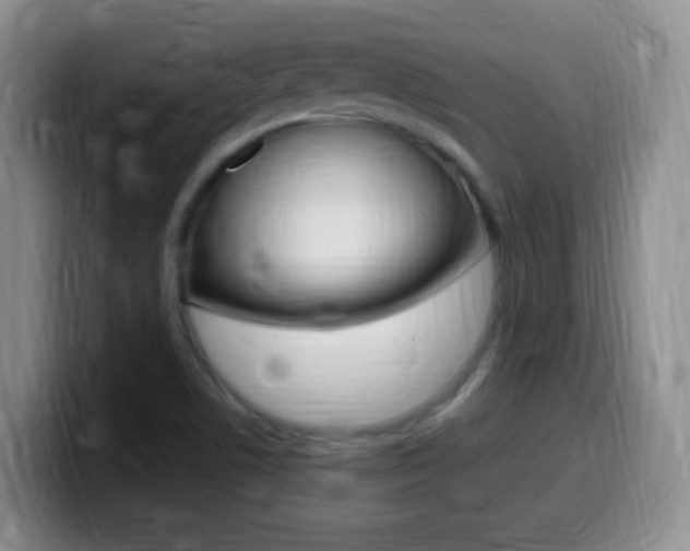 X0000099981506200805231012