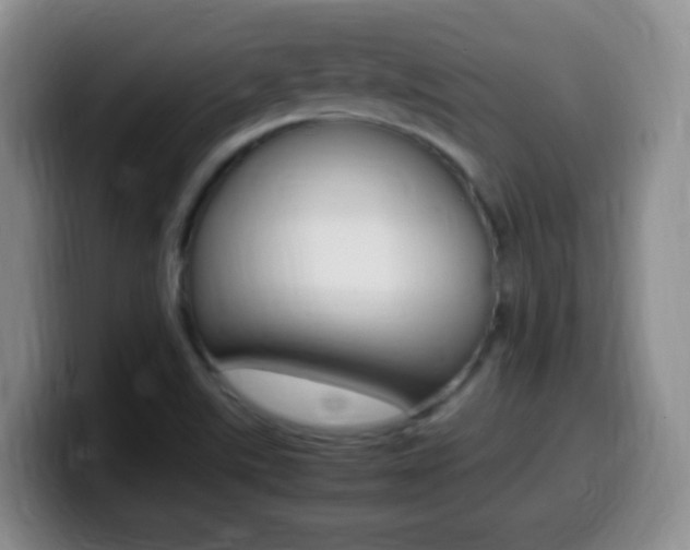 X0000099981507200805231012