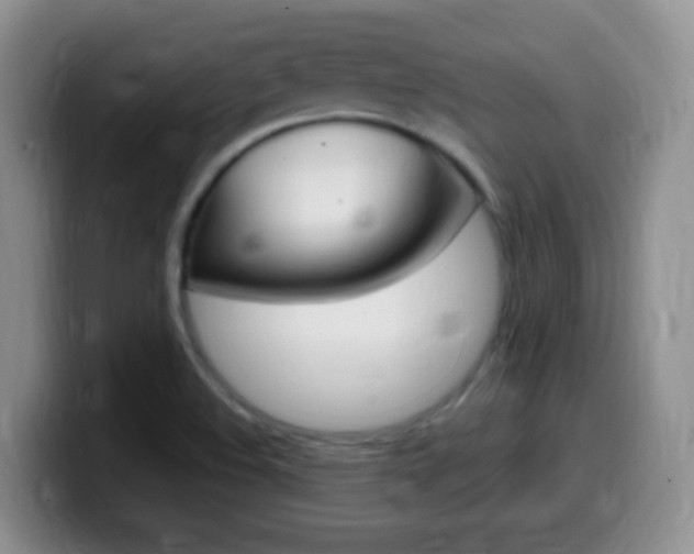 X0000099981508200805231012