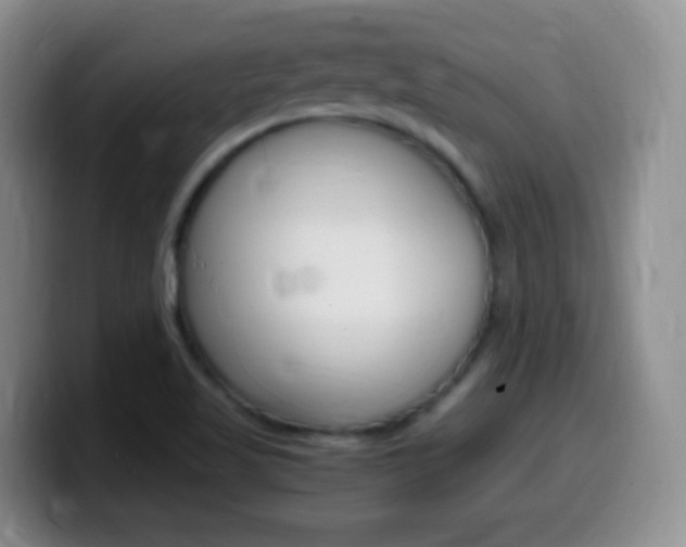 X0000099981509200805231012