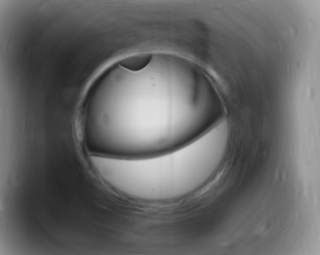 X0000099981510200805231012