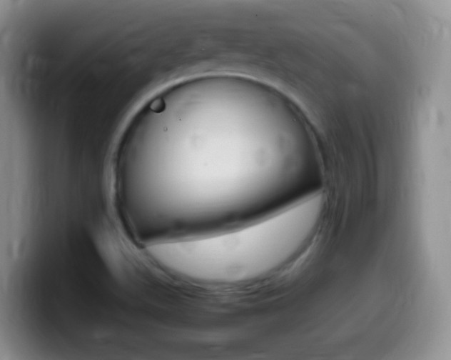 X0000099981511200805231012
