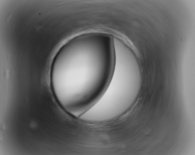 X0000099981512200805231012