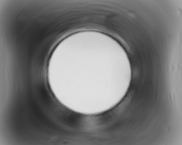 X0000099981514200805231012