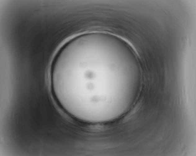 X0000099981515200805231012