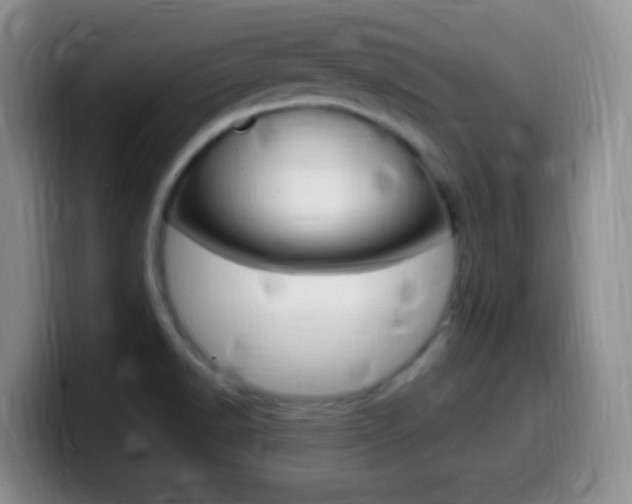 X0000099981518200805231012