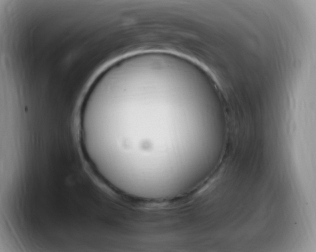 X0000099981519200805231012