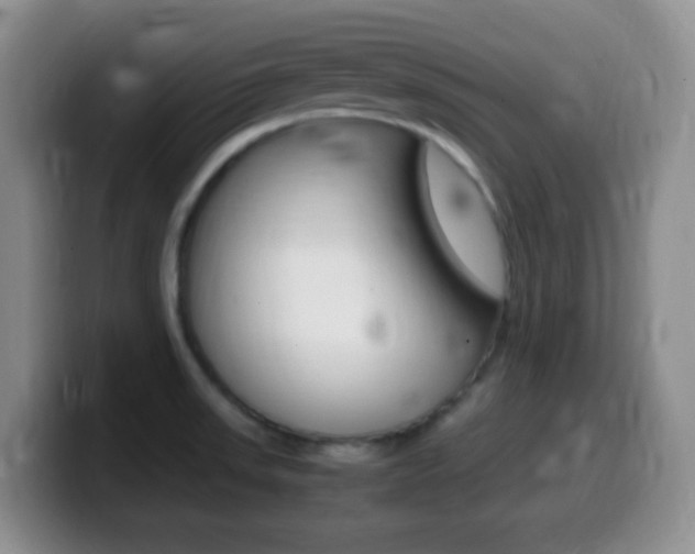 X0000099981523200805231012
