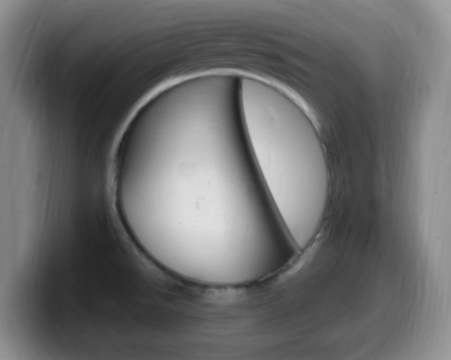 X0000099981526200805231012