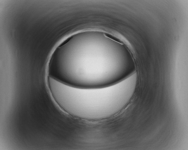 X0000099981528200805231012