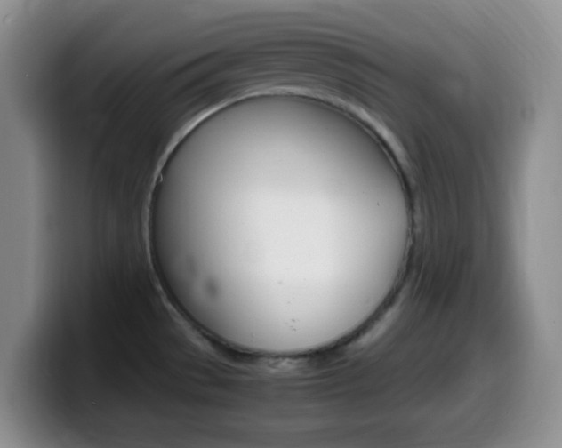 X0000099981529200805231012