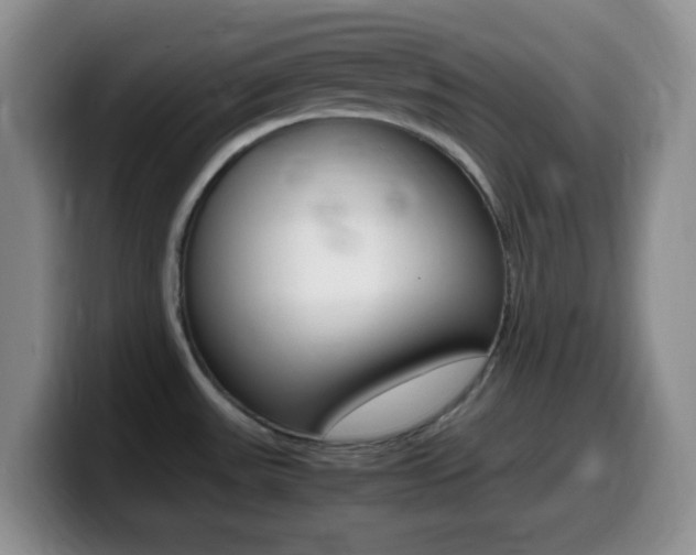 X0000099981531200805231012