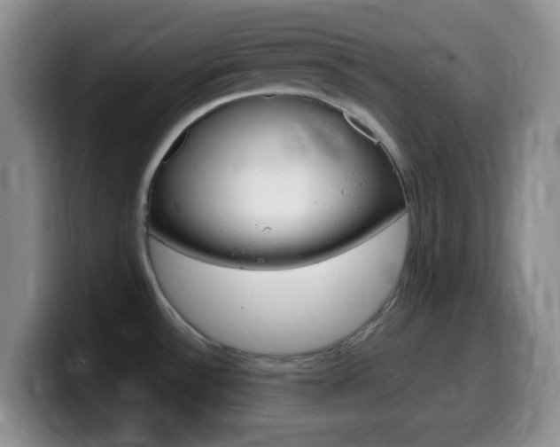 X0000099981532200805231012
