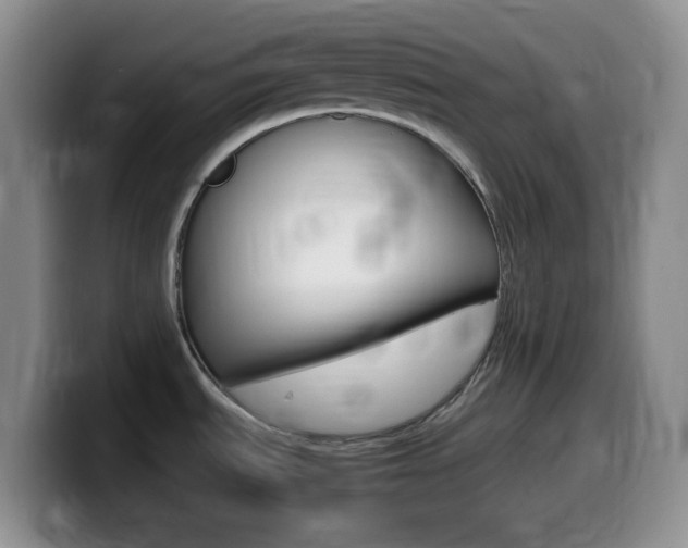 X0000099981535200805231012