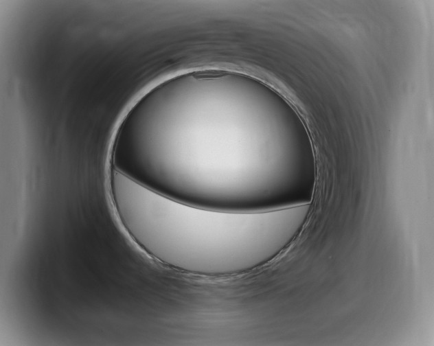 X0000099981536200805231012