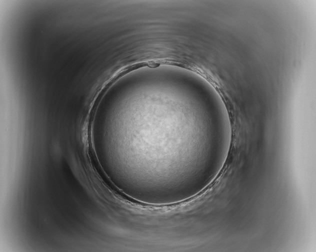 X0000099980002200805231434