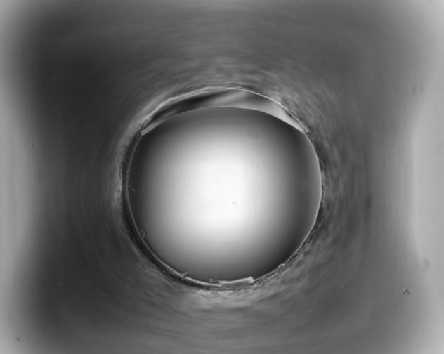 X0000099980005200805231434