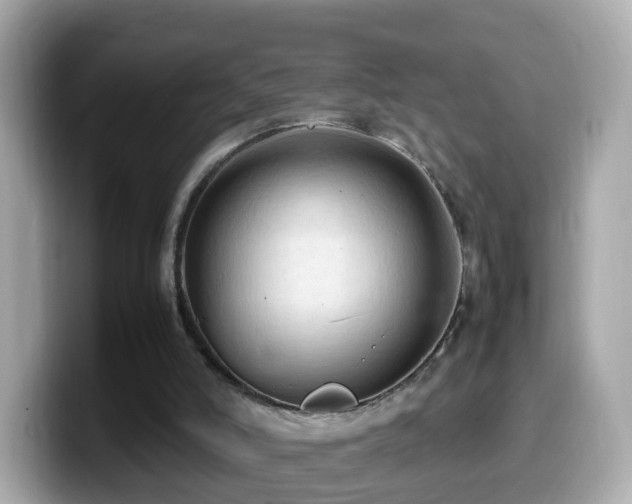 X0000099980006200805231434