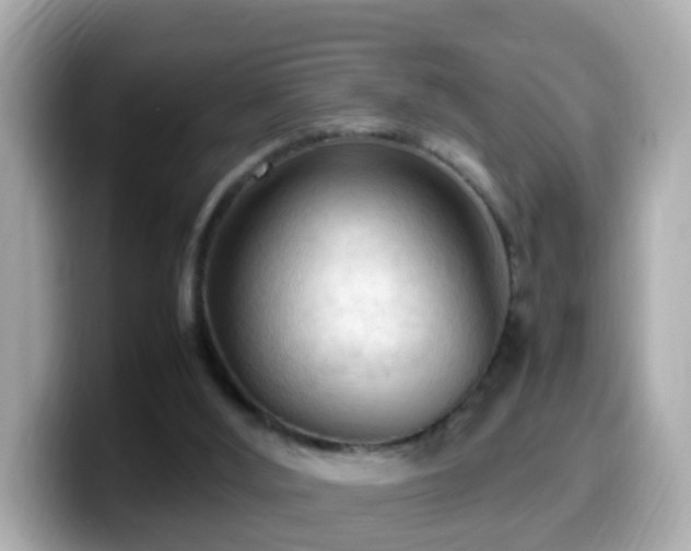 X0000099980012200805231434