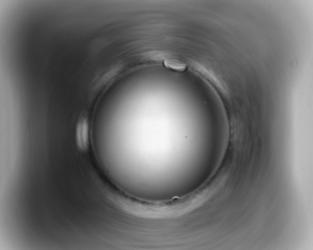 X0000099980014200805231434