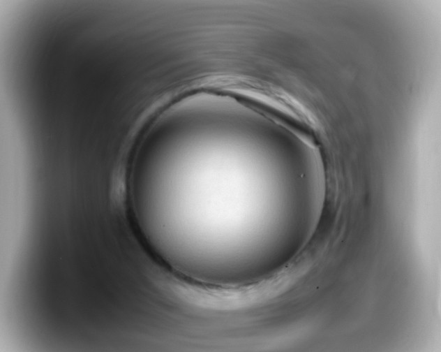 X0000099980015200805231434