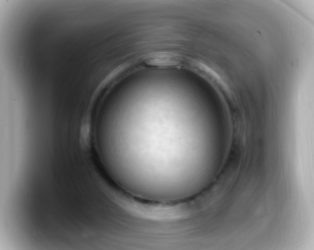 X0000099980016200805231434