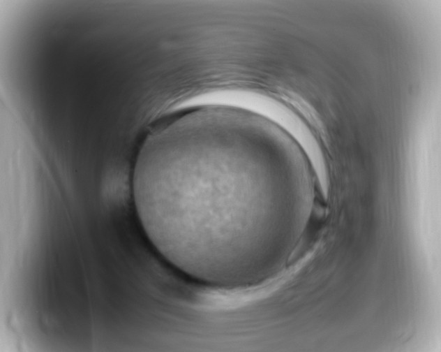 X0000099980017200805231434