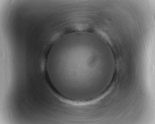 X0000099980018200805231434