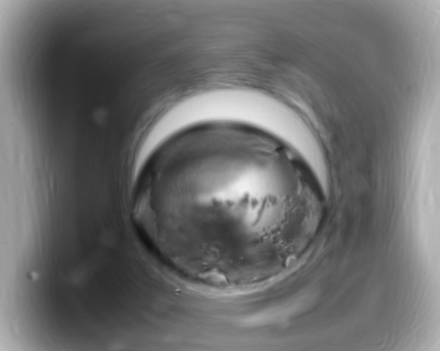 X0000099980019200805231434