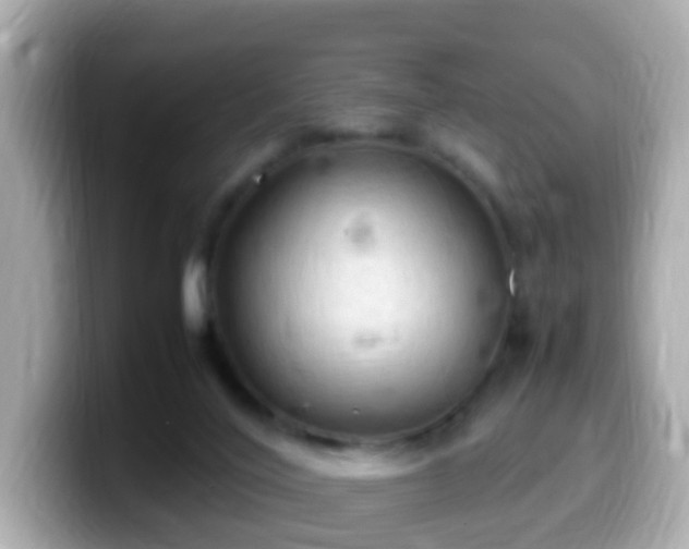 X0000099980020200805231434