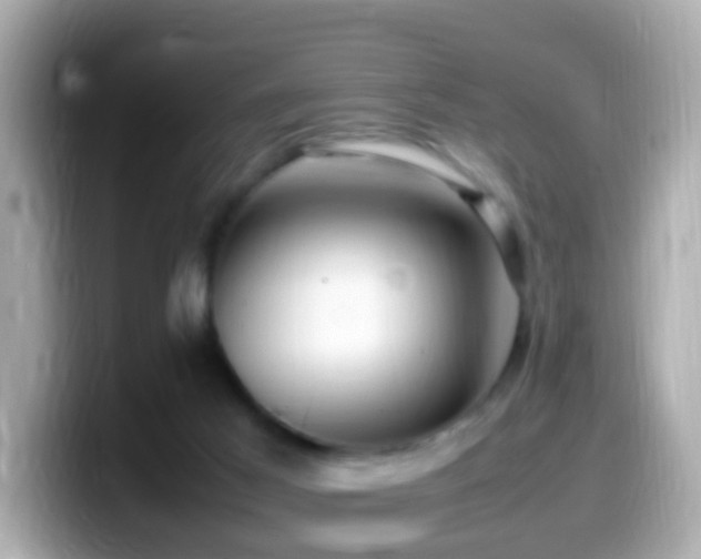 X0000099980021200805231434