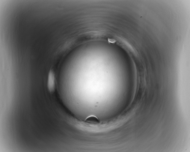 X0000099980022200805231434