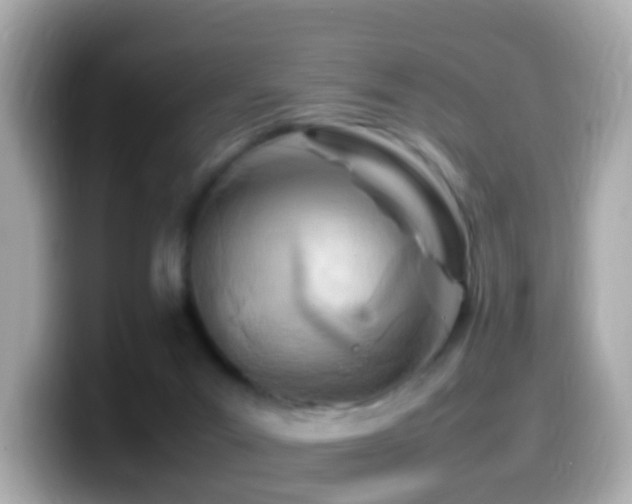 X0000099980023200805231433
